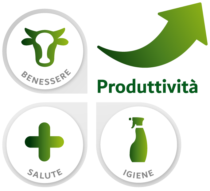 STEPLAB aumenta la tua produttività